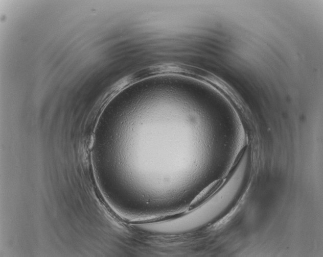 X0000064770857200602171823