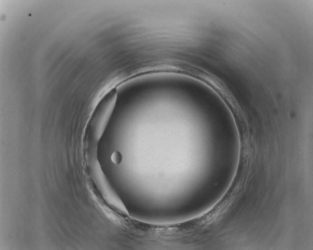 X0000064770858200602171823