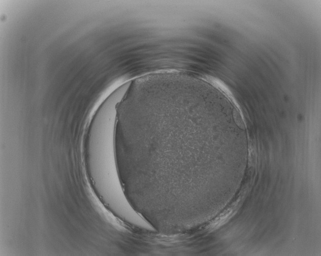 X0000064770859200602171823