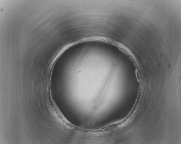 X0000064770860200602171823