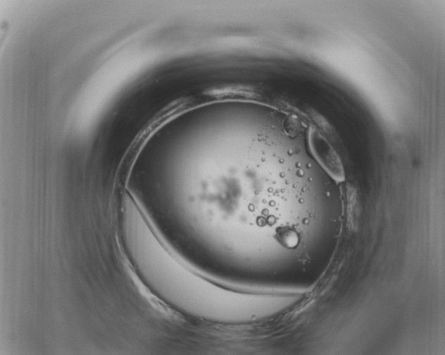 X0000064770861200602171823