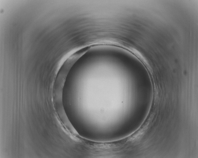 X0000064770862200602171823