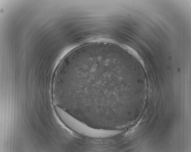 X0000064770863200602171823