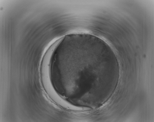 X0000064770864200602171823