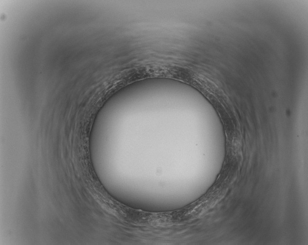 X0000064770865200602171822