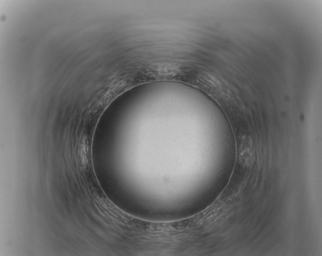 X0000064770866200602171822