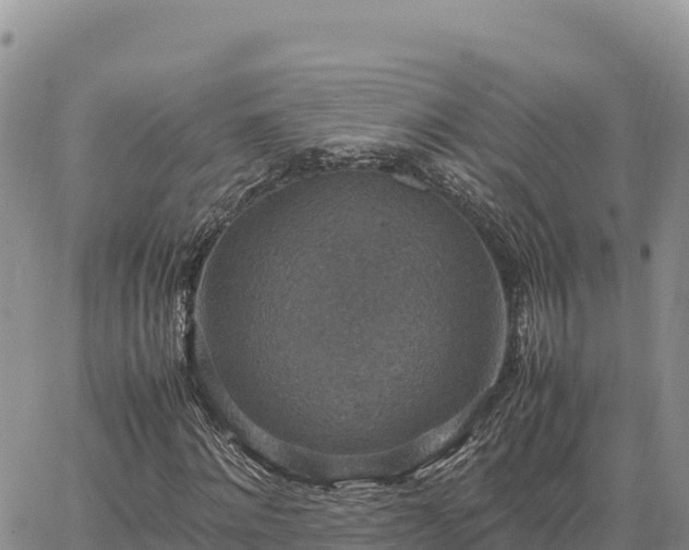 X0000064770868200602171822