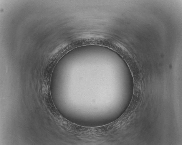 X0000064770869200602171822