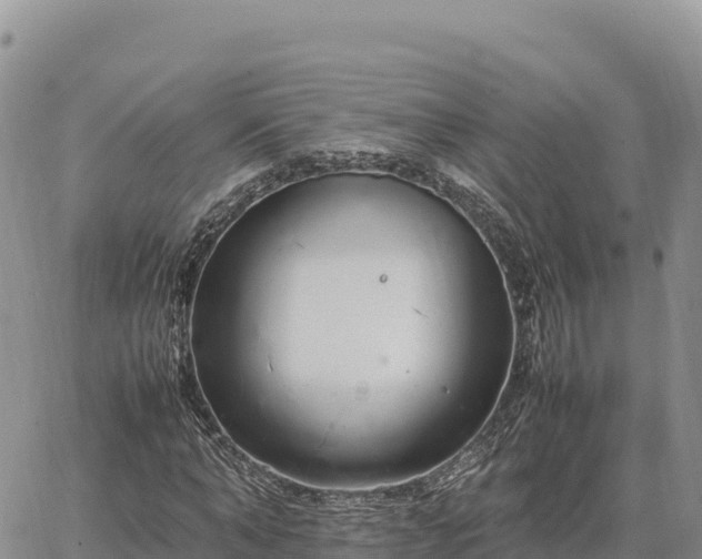 X0000064770870200602171822