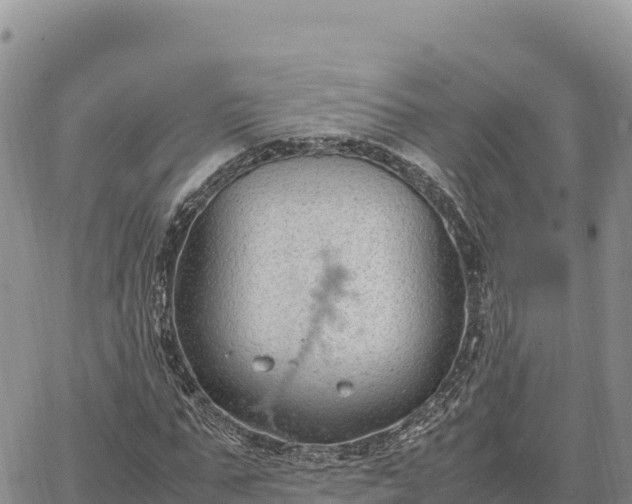 X0000064770871200602171822