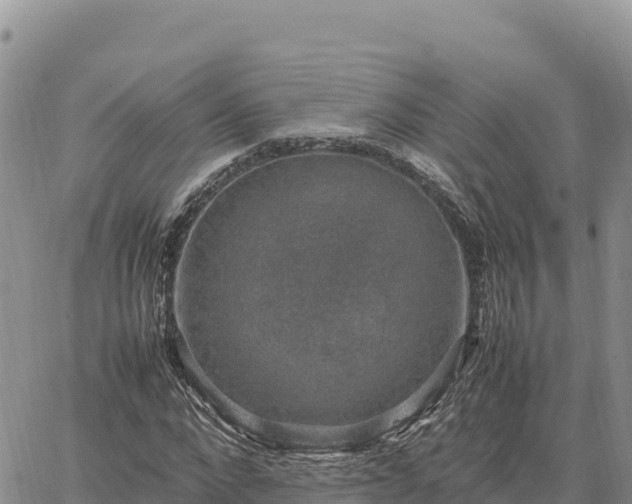 X0000064770872200602171822