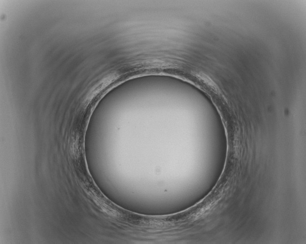 X0000064770873200602171822