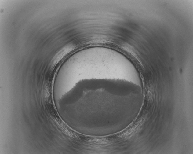 X0000064770874200602171822