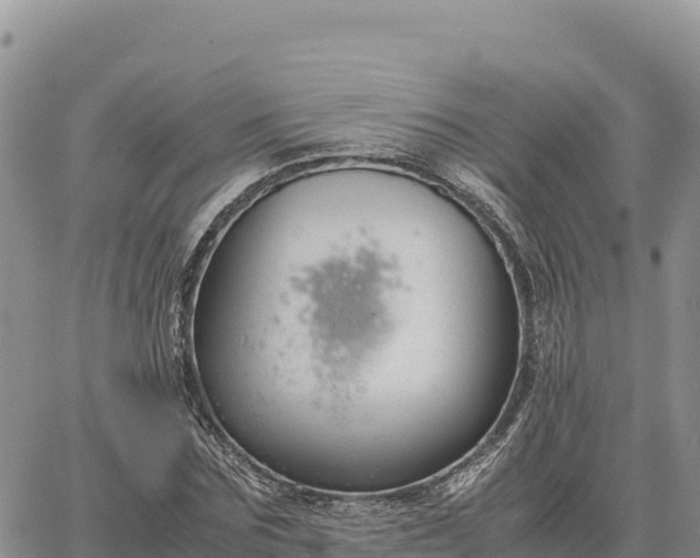 X0000064770875200602171822