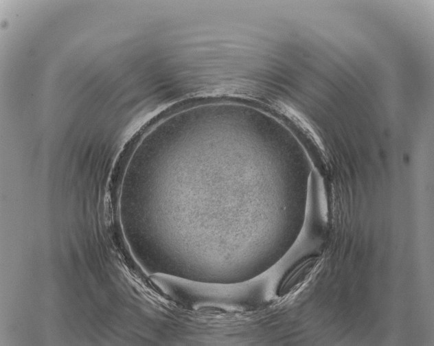 X0000064770876200602171822