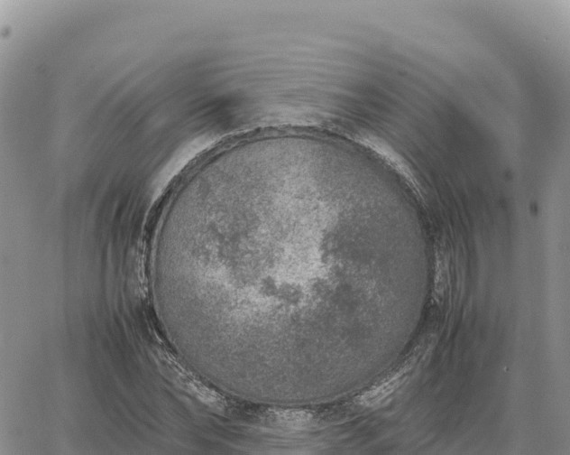 X0000064770878200602171822