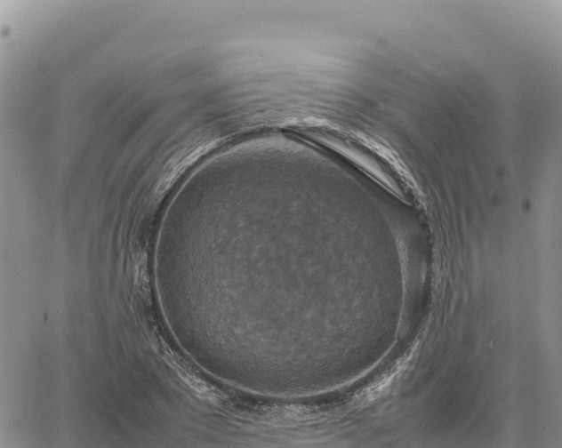 X0000064770881200602171822