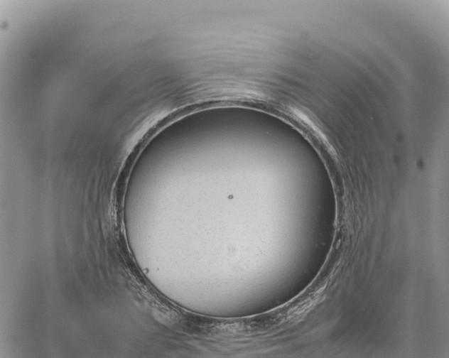 X0000064770883200602171822