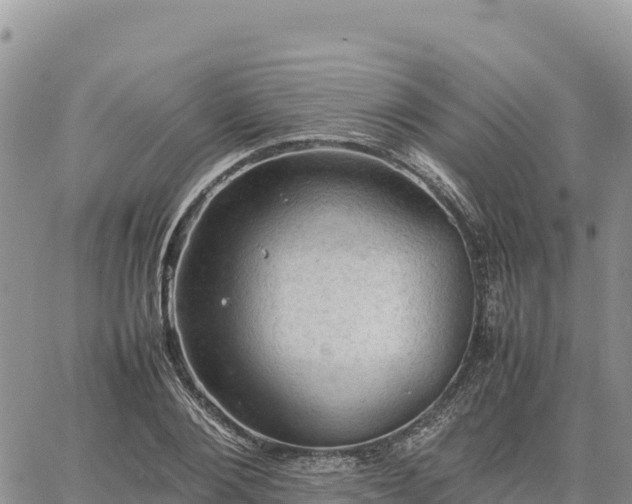 X0000064770884200602171822