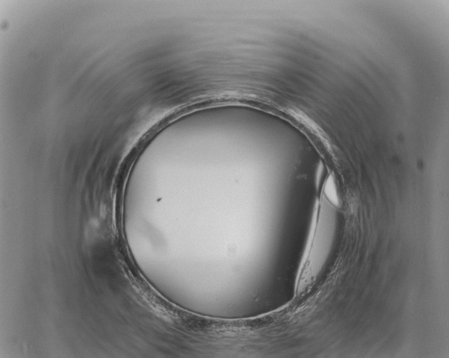 X0000064770886200602171822