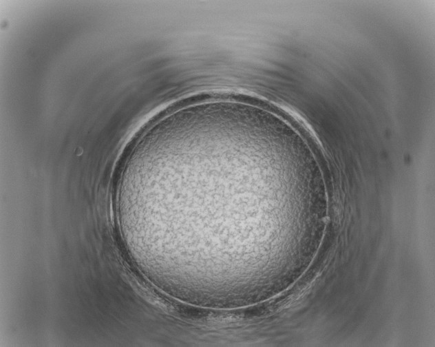 X0000064770887200602171822