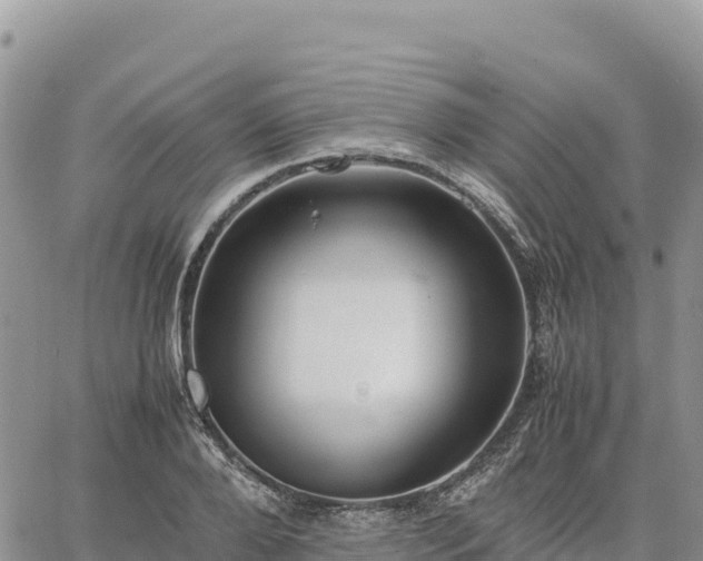 X0000064770888200602171822