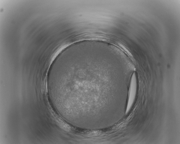 X0000064770891200602171822