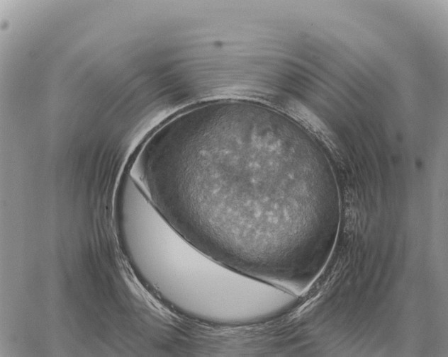 X0000064770892200602171821