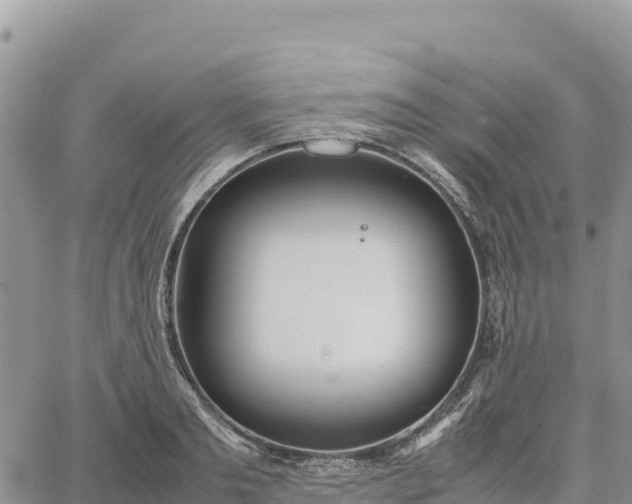 X0000064770893200602171821