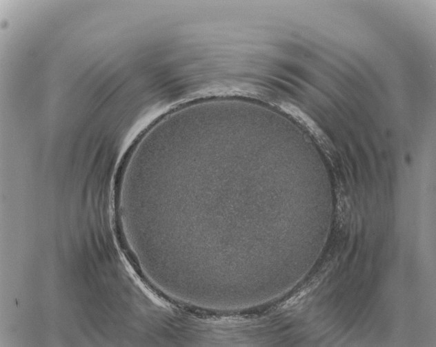 X0000064770894200602171821