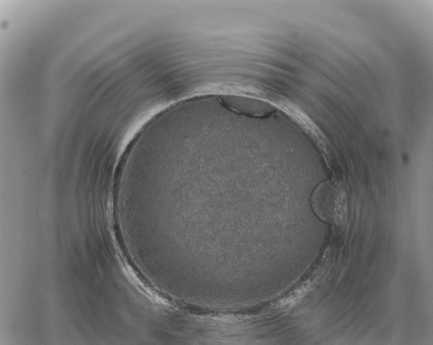 X0000064770896200602171821