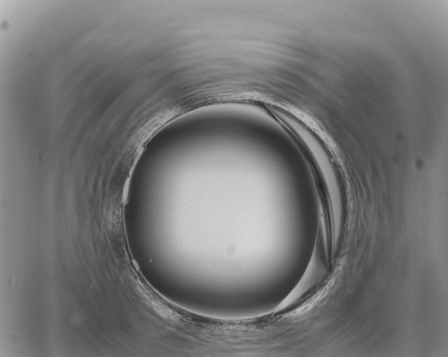 X0000064770897200602171821