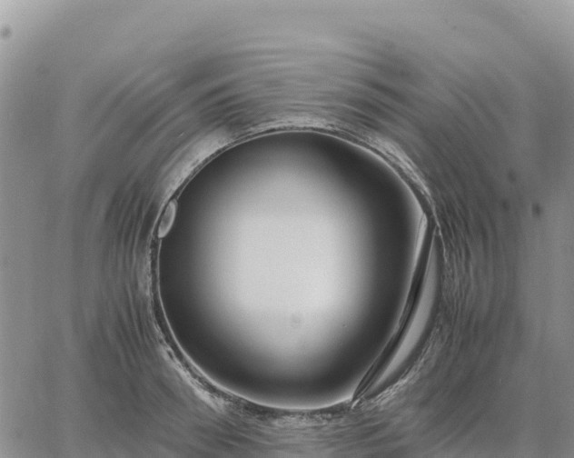 X0000064770898200602171821