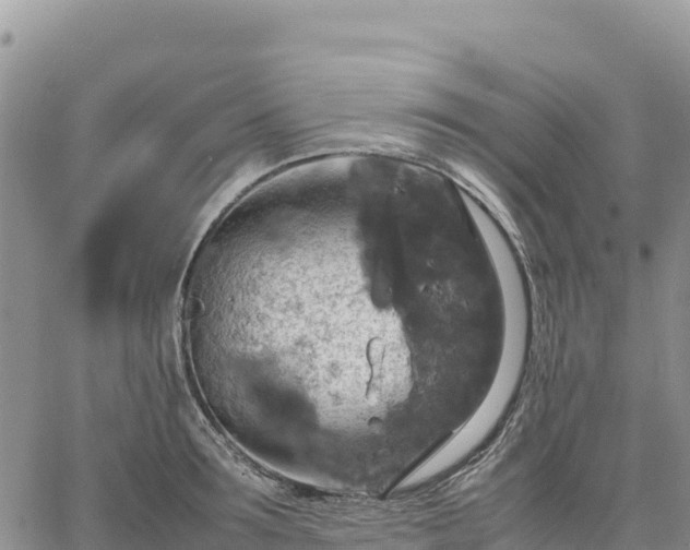 X0000064770899200602171821