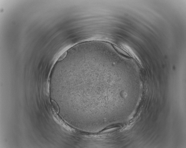 X0000064770900200602171821