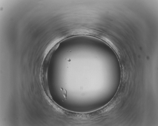 X0000064770901200602171821