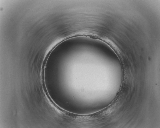 X0000064770902200602171821