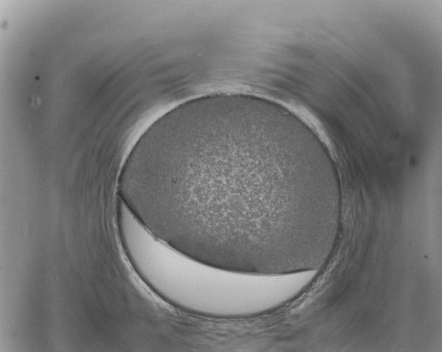 X0000064770903200602171821