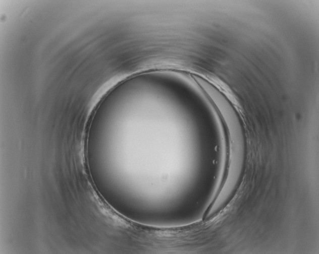 X0000064770904200602171821