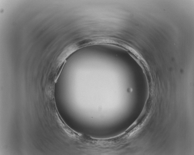 X0000064770905200602171821