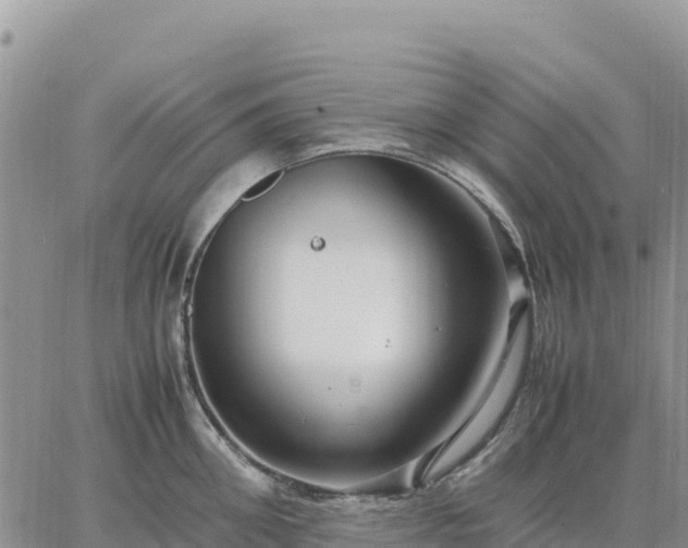 X0000064770906200602171821