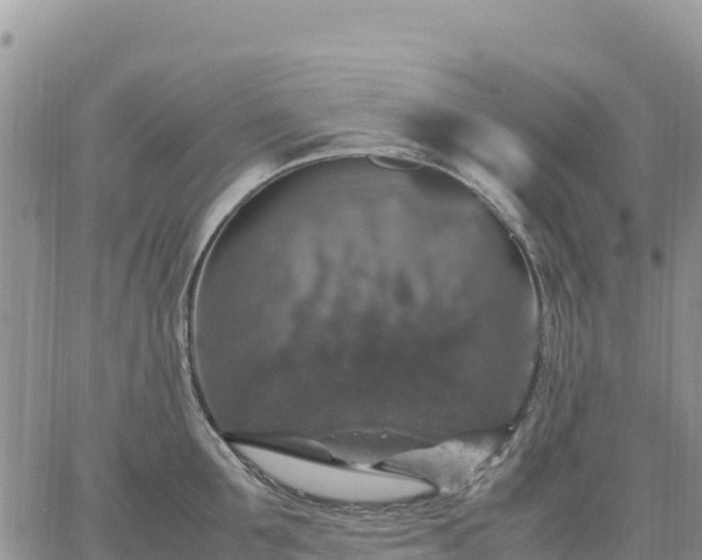 X0000064770907200602171821