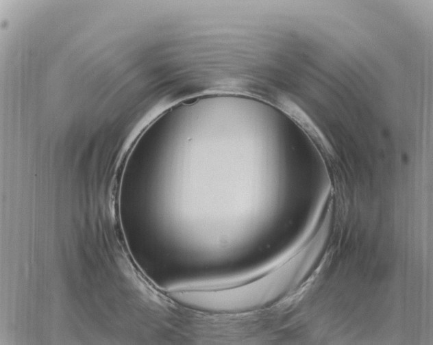 X0000064770908200602171821