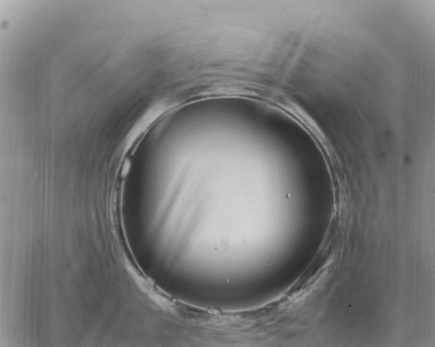 X0000064770909200602171821