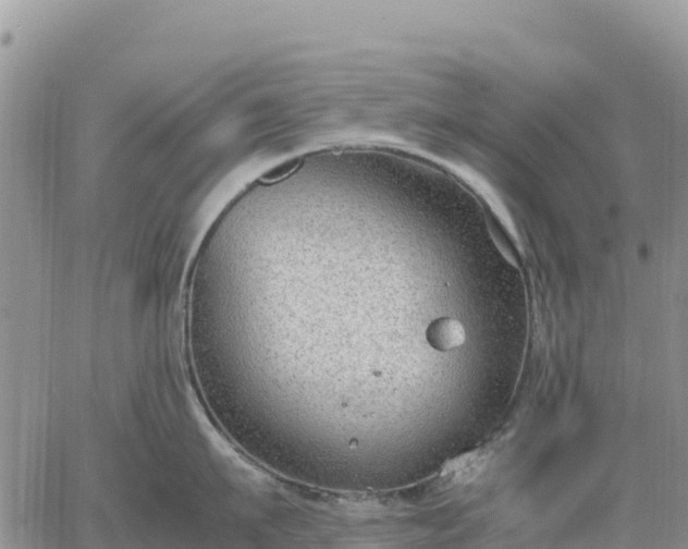 X0000064770911200602171821