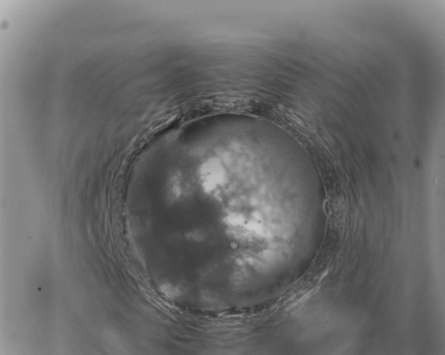 X0000064770913200602171820