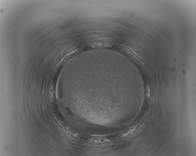 X0000064770915200602171820