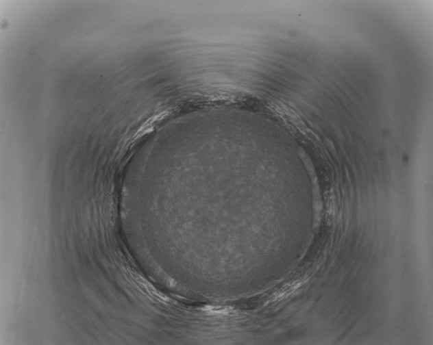 X0000064770916200602171820