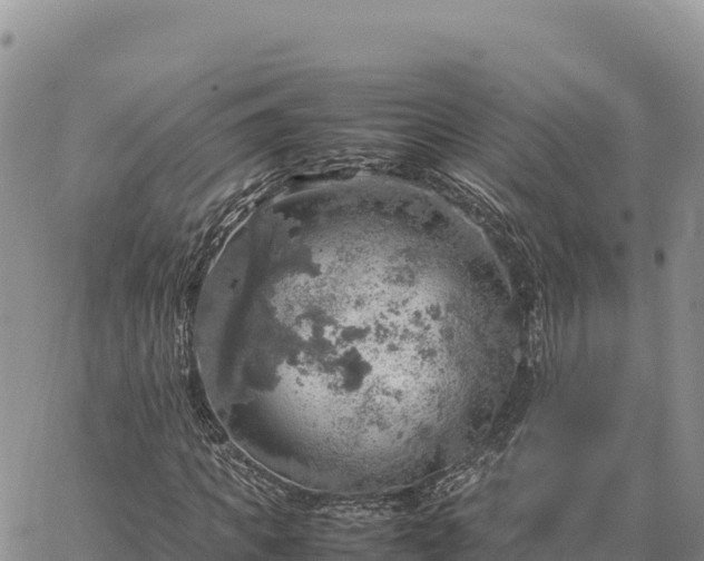 X0000064770917200602171820