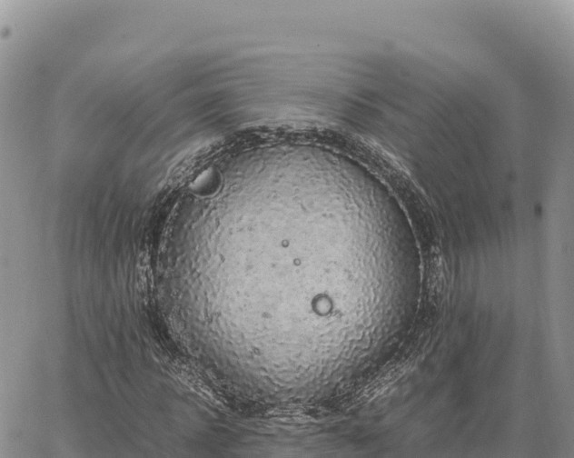 X0000064770918200602171820